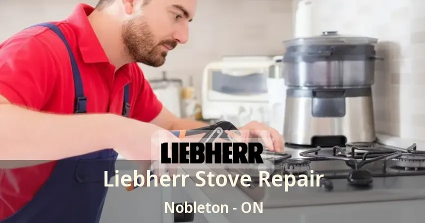 Liebherr Stove Repair Nobleton - ON