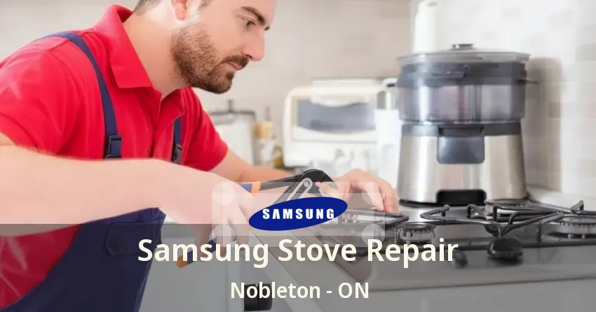Samsung Stove Repair Nobleton - ON