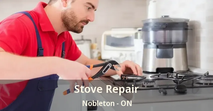 Stove Repair Nobleton - ON