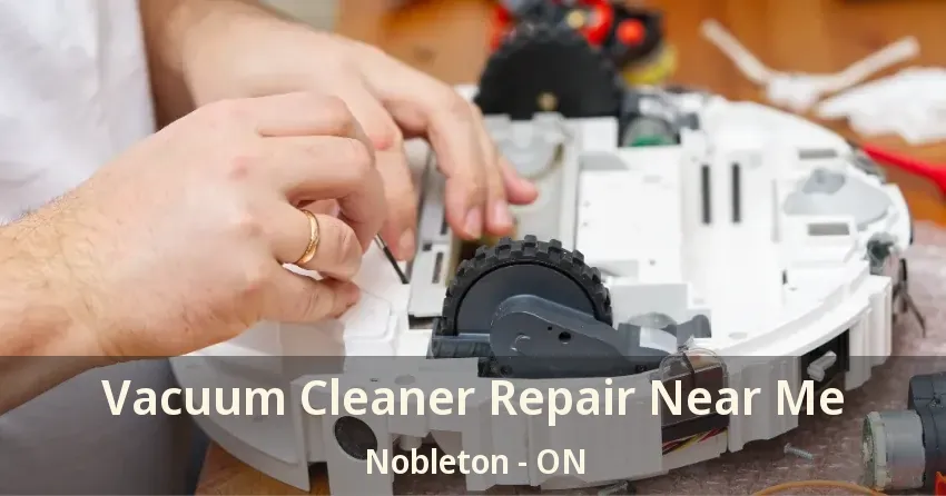 Vacuum Cleaner Repair Near Me Nobleton - ON