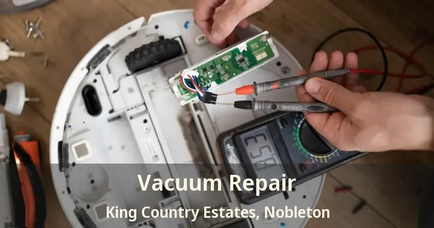 Vacuum Repair King Country Estates, Nobleton - ON