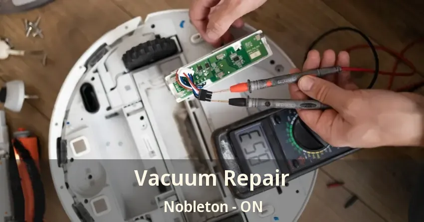 Vacuum Repair Nobleton - ON