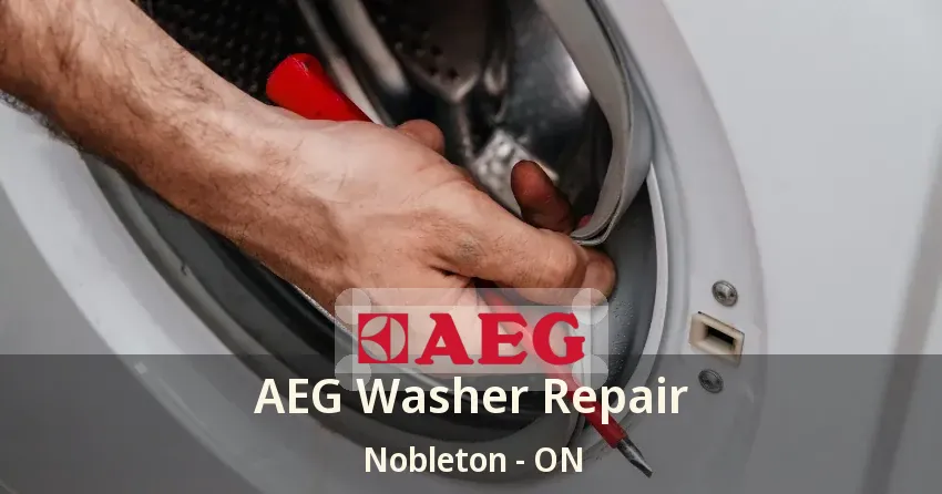 AEG Washer Repair Nobleton - ON