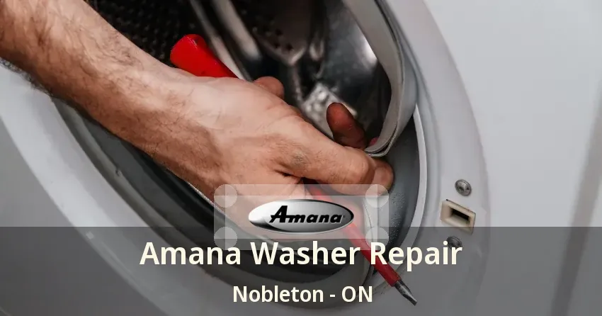 Amana Washer Repair Nobleton - ON