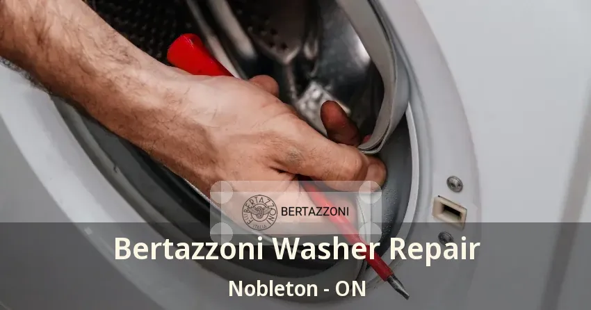 Bertazzoni Washer Repair Nobleton - ON