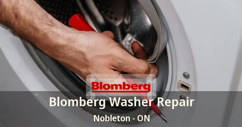 Blomberg Washer Repair Nobleton - ON