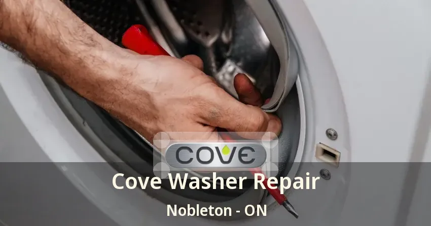 Cove Washer Repair Nobleton - ON