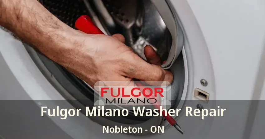 Fulgor Milano Washer Repair Nobleton - ON