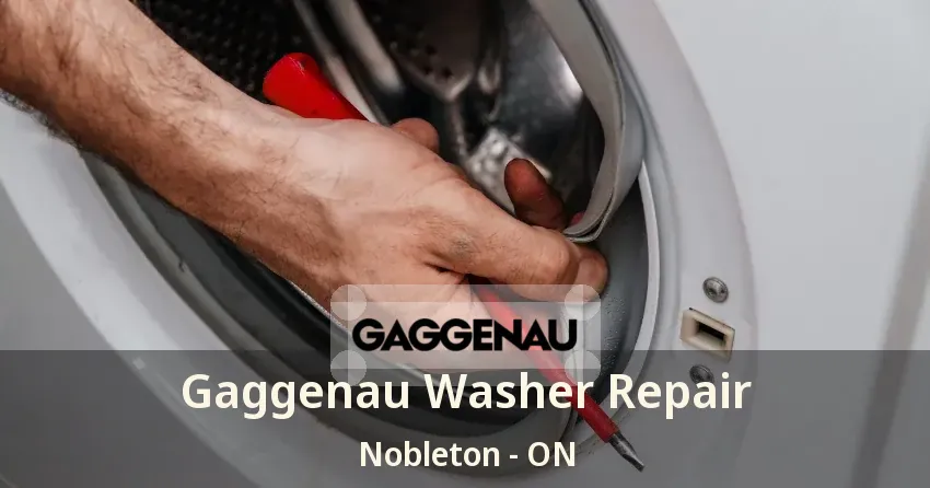 Gaggenau Washer Repair Nobleton - ON