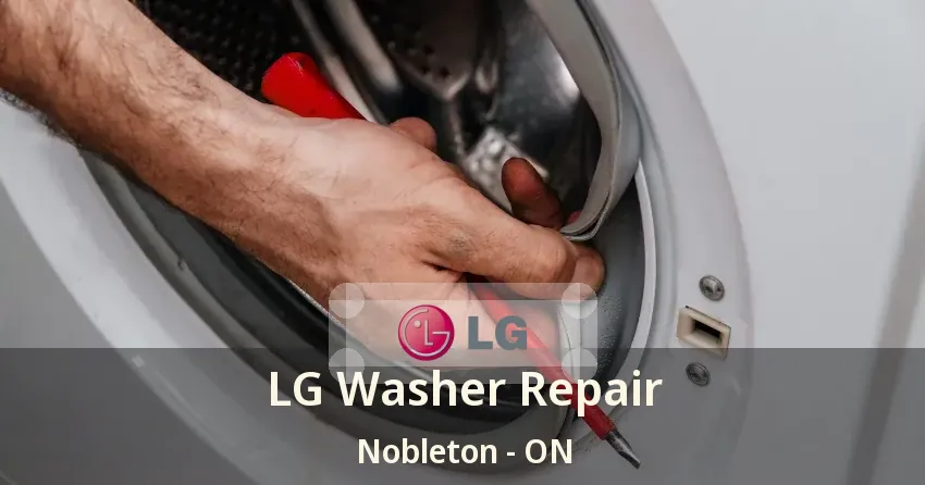 LG Washer Repair Nobleton - ON
