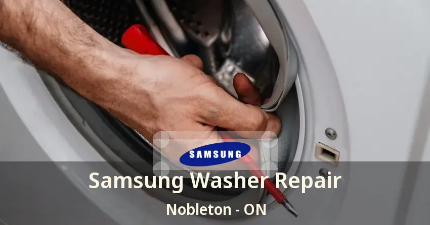 Samsung Washer Repair Nobleton - ON