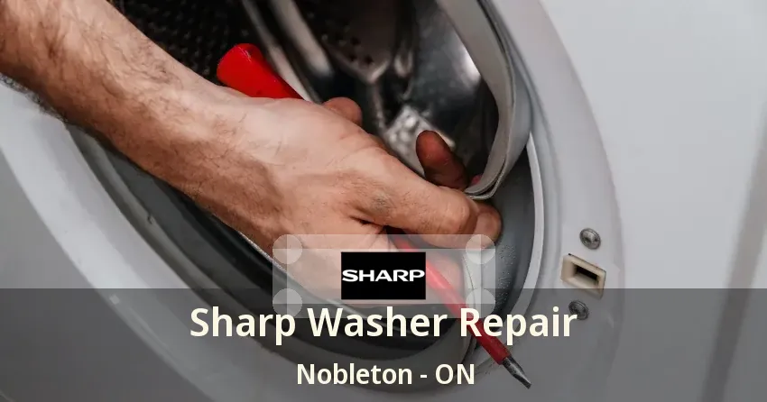 Sharp Washer Repair Nobleton - ON