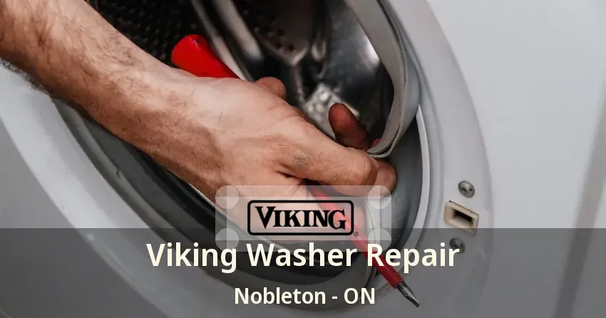 Viking Washer Repair Nobleton - ON
