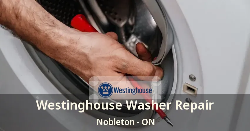 Westinghouse Washer Repair Nobleton - ON