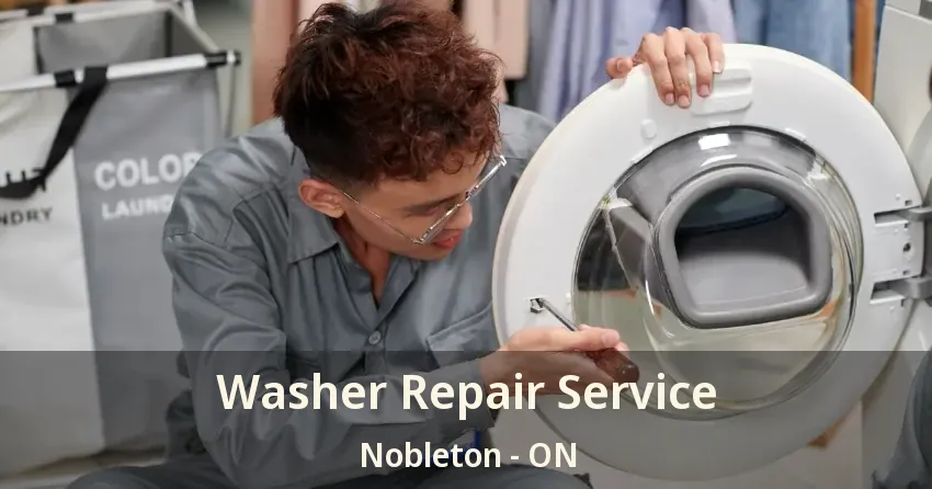 Washer Repair Service Nobleton - ON