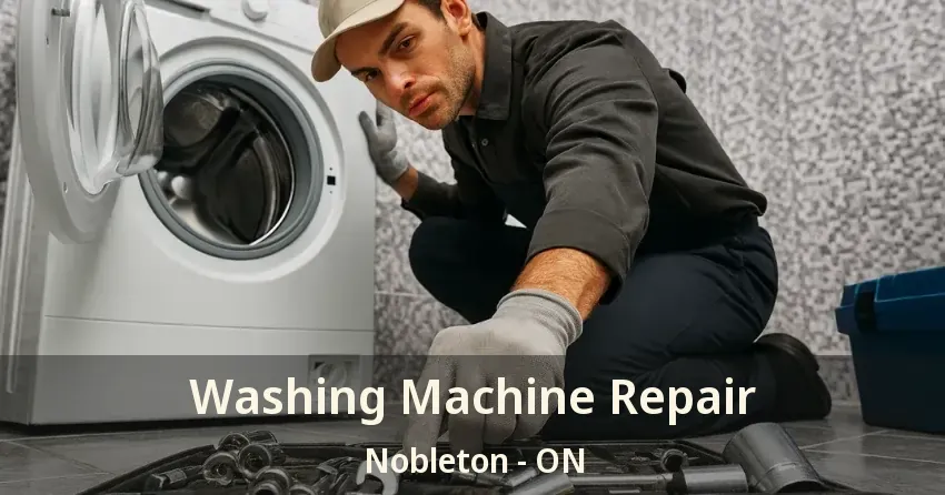Washing Machine Repair Nobleton - ON
